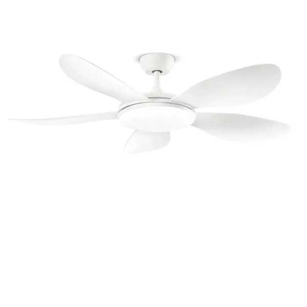 Ventilatore Smarti